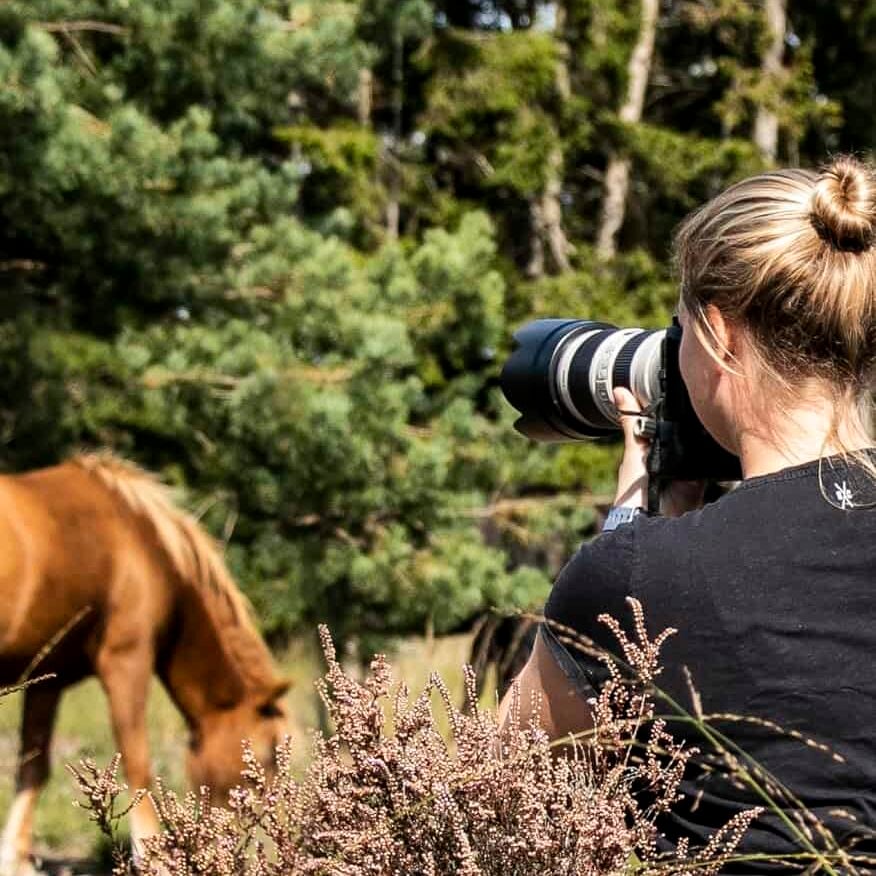 fotograaf_dafotografie