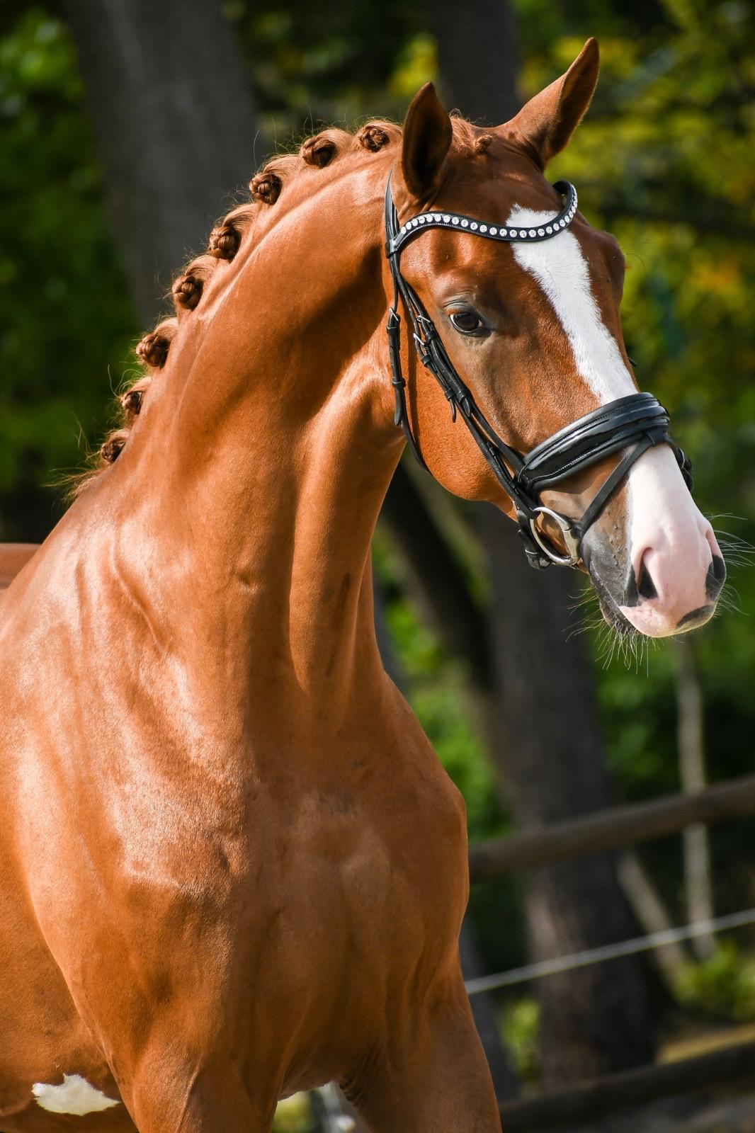 WhatsApp Image 2025-09-15 at 13.44.17