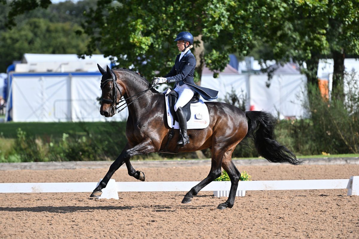 WhatsApp Image 2025-11-05 at 10.44.07-3