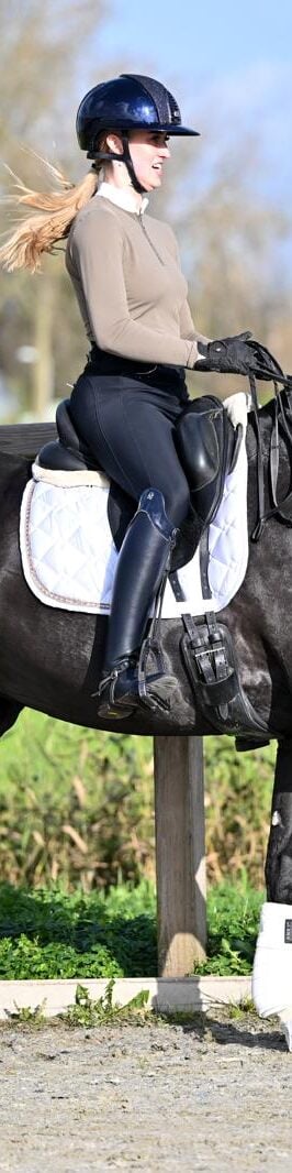 WhatsApp Image 2025-11-12 at 11.31.15