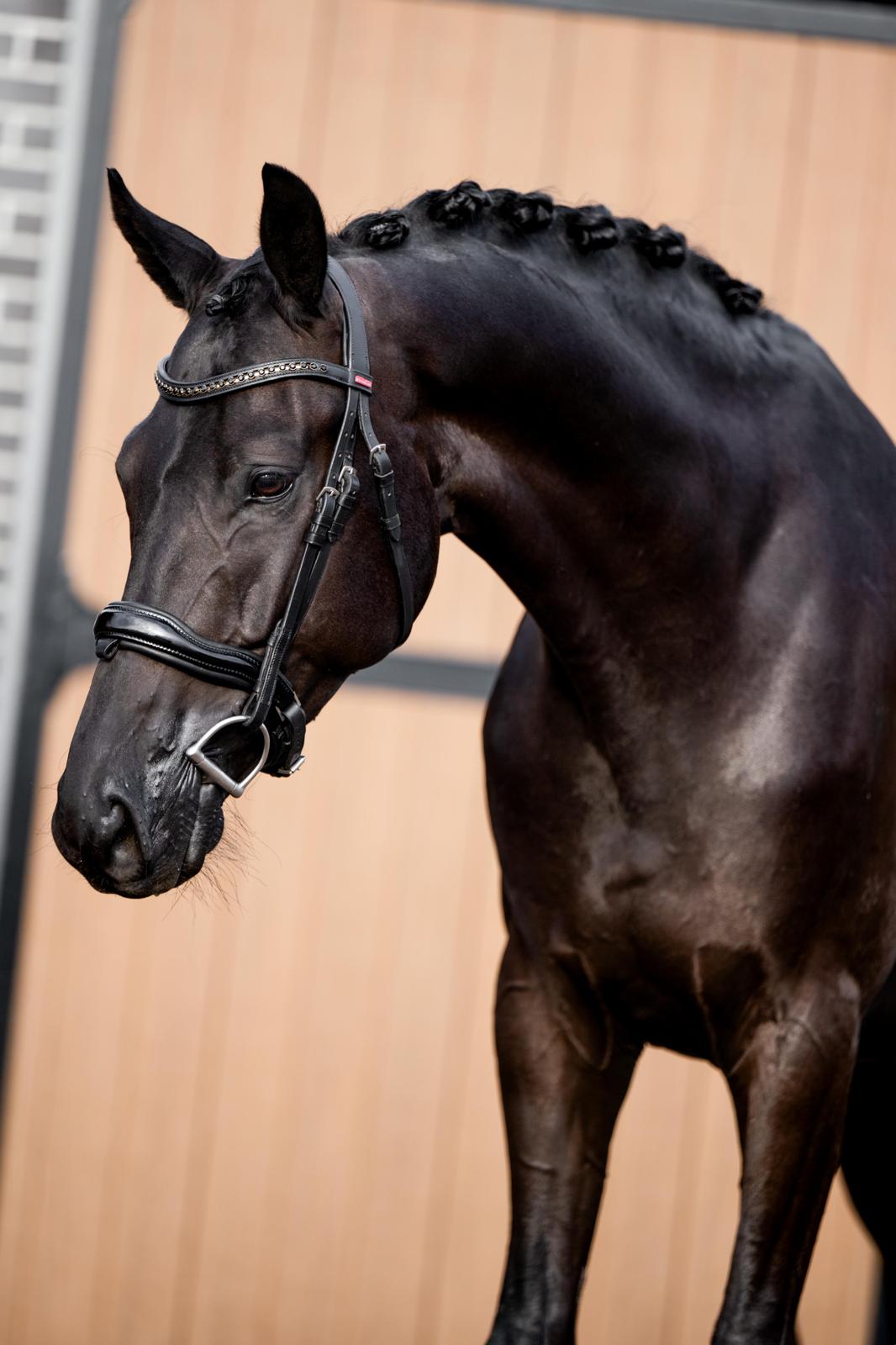 WhatsApp Image 2025-11-19 at 20.54.40-2