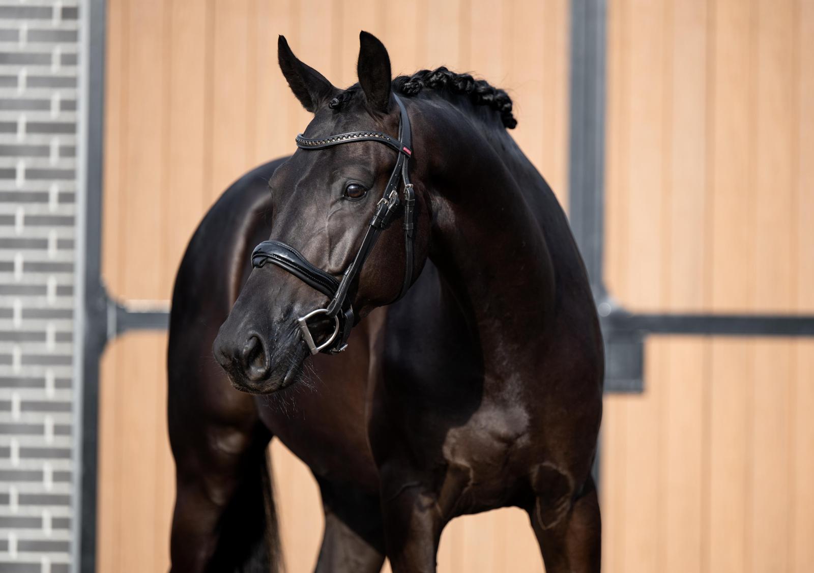 WhatsApp Image 2025-11-19 at 20.54.40-3