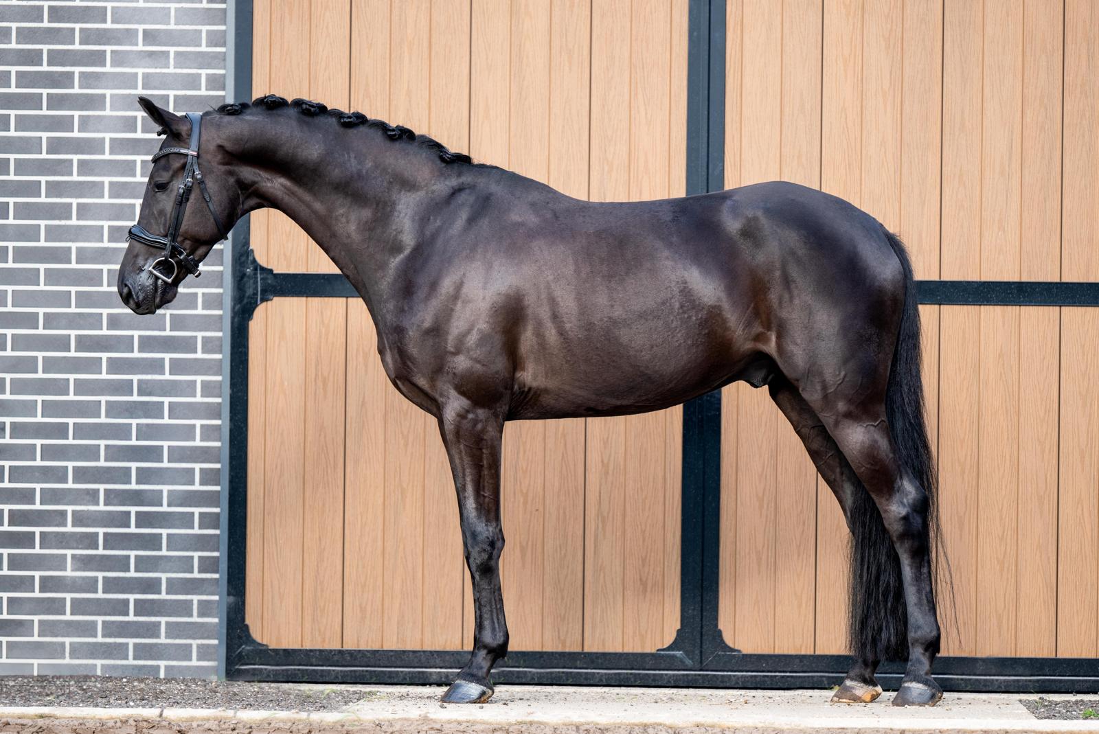 WhatsApp Image 2025-11-19 at 20.54.40