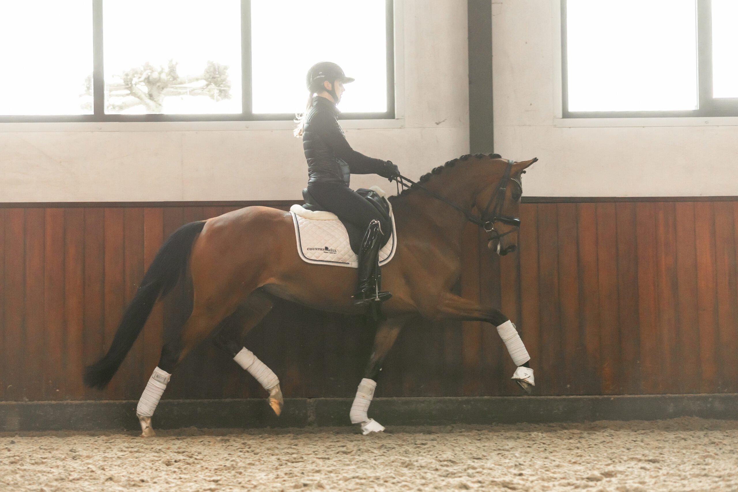 RDHorses-FemkeAniekdeLaat-10 2