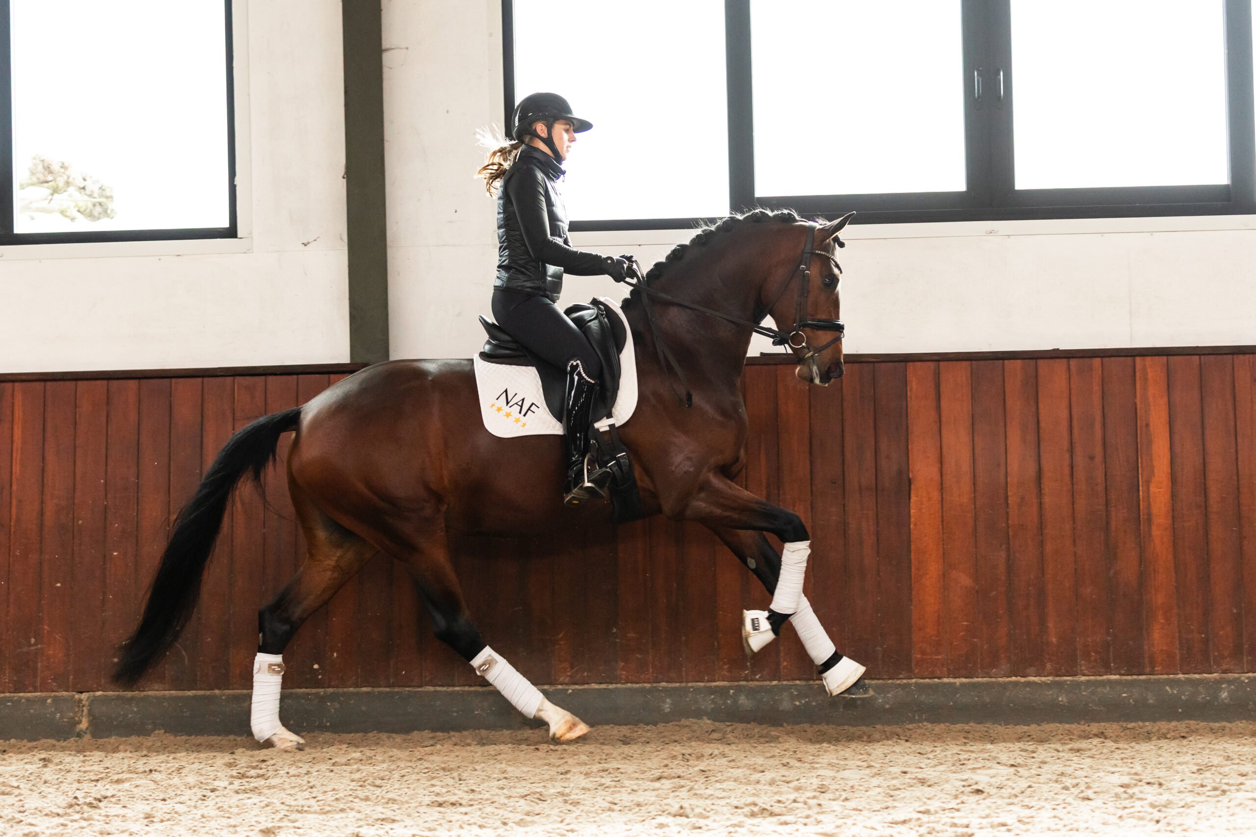 RDHorses-FemkeAniekdeLaat-22 2