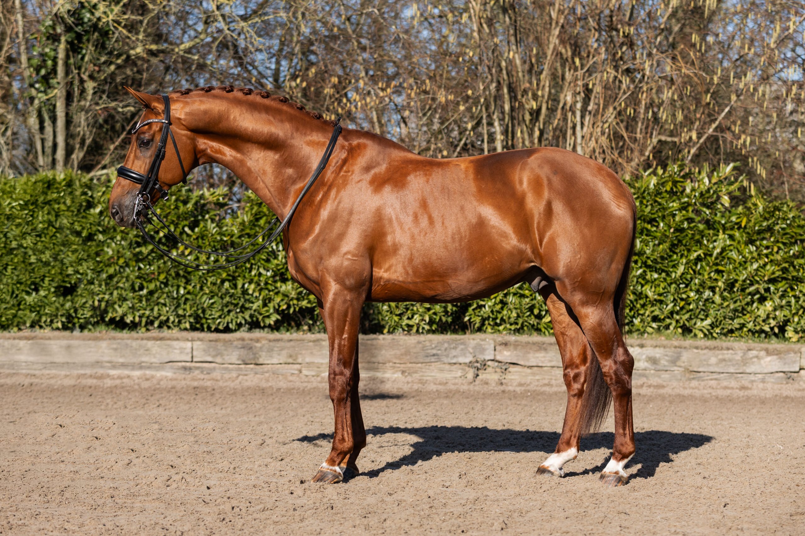 StaldeKok-Oliver-4 4