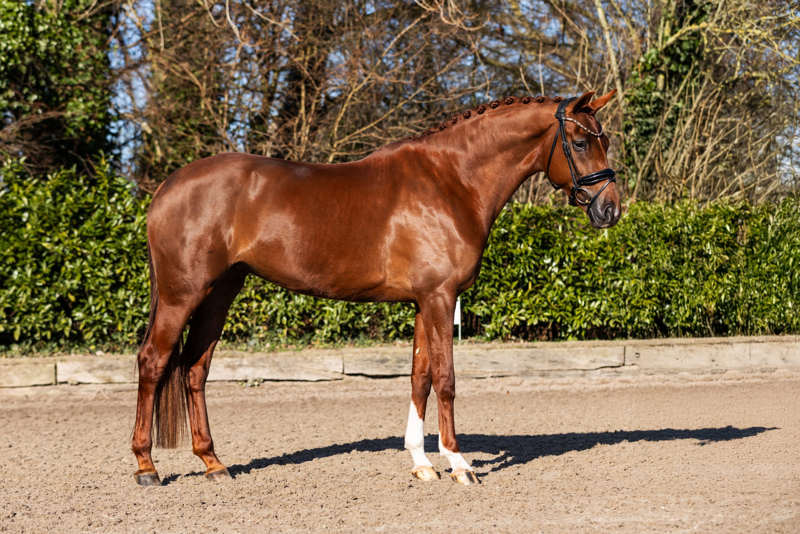 StaldeKok-Peaches-3 4