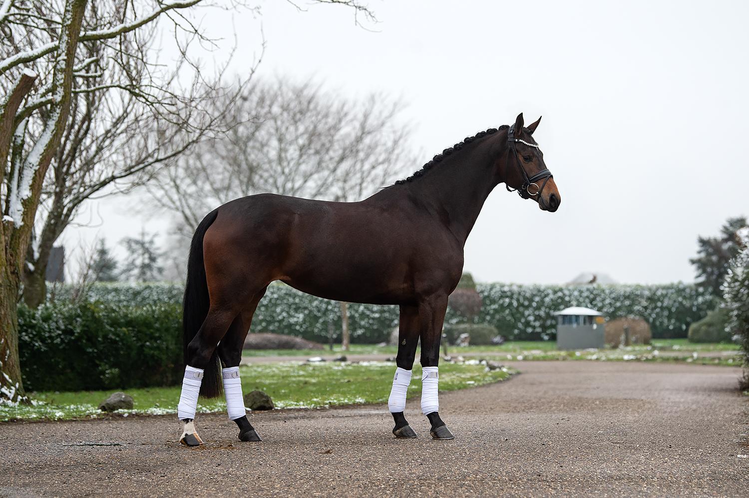 WhatsApp Image 2026-02-18 at 15.59.02