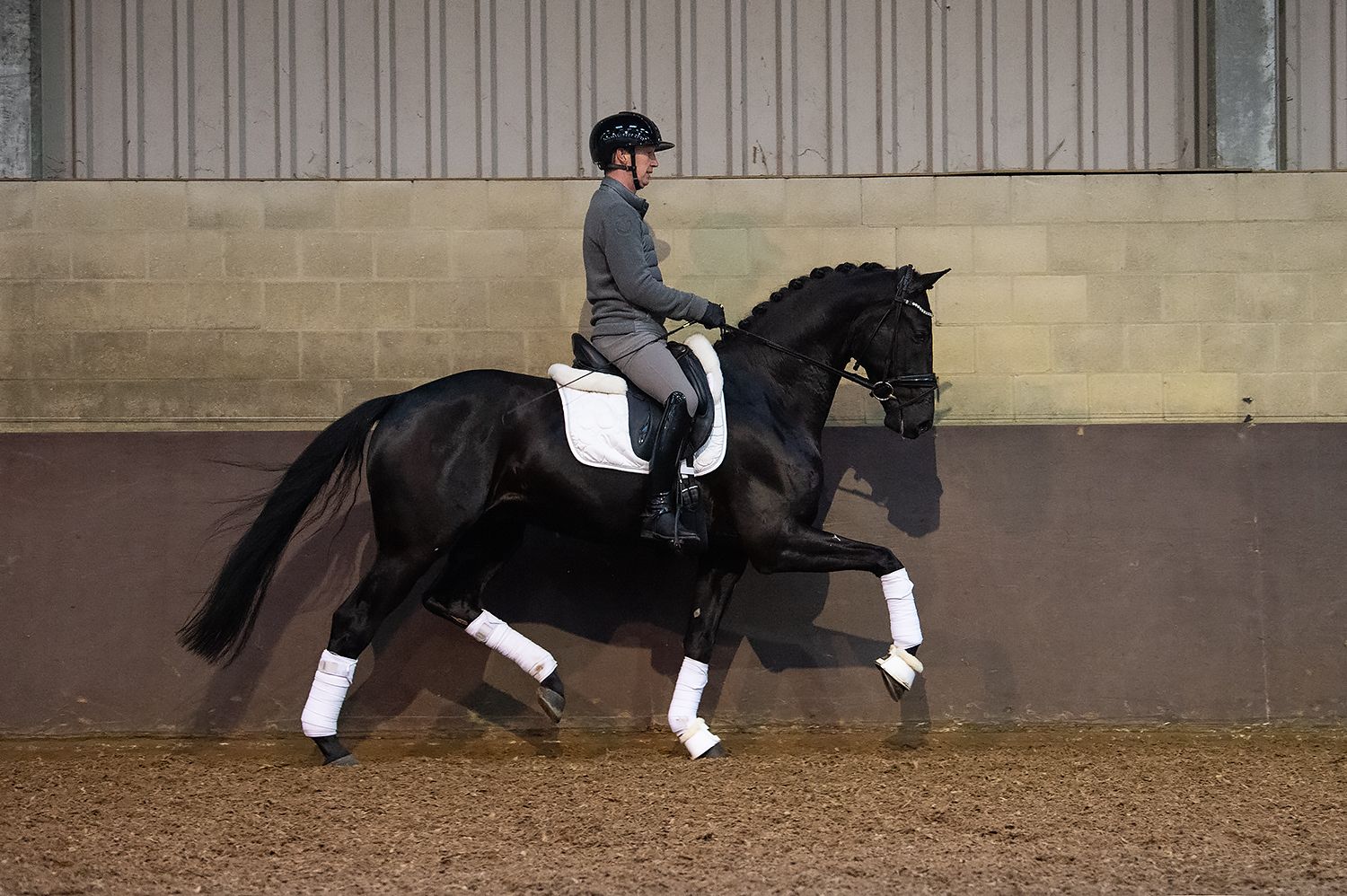 WhatsApp Image 2026-02-20 at 16.53.03 (2)