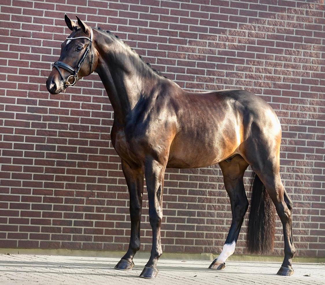 WhatsApp Image 2026-03-03 at 08.02.00