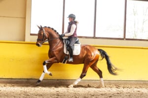 RDHorses-TCDutchSporthorses-JustforYou-13 2