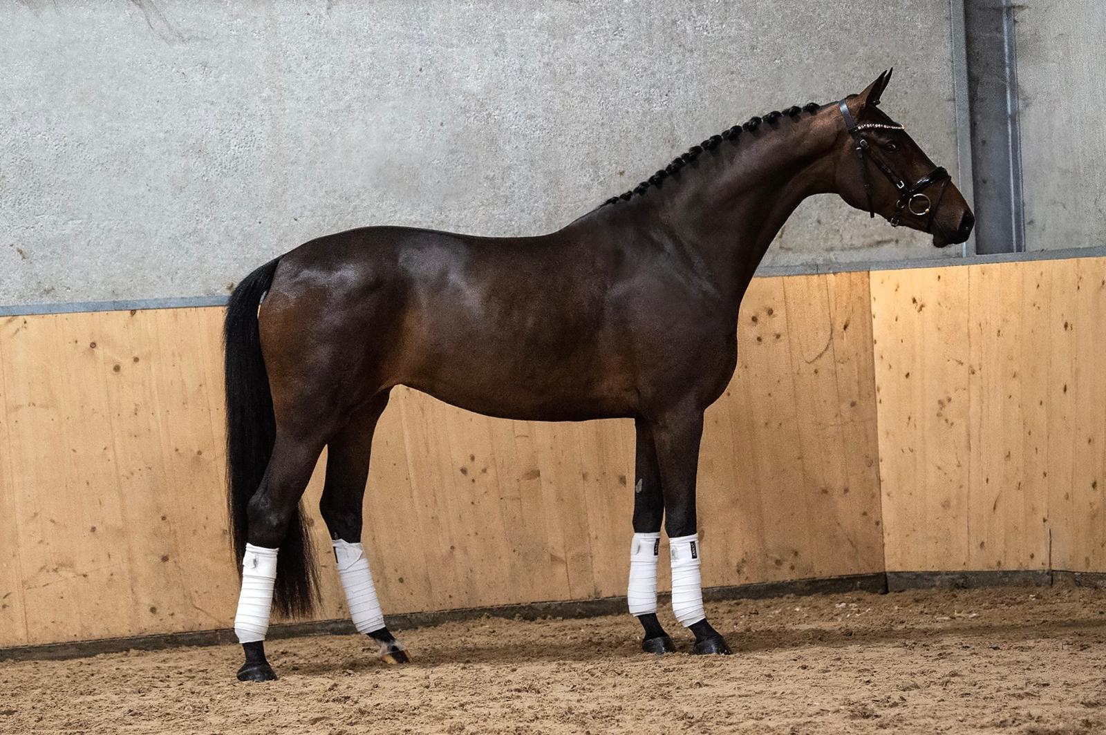 WhatsApp Image 2026-03-04 at 14.34.15