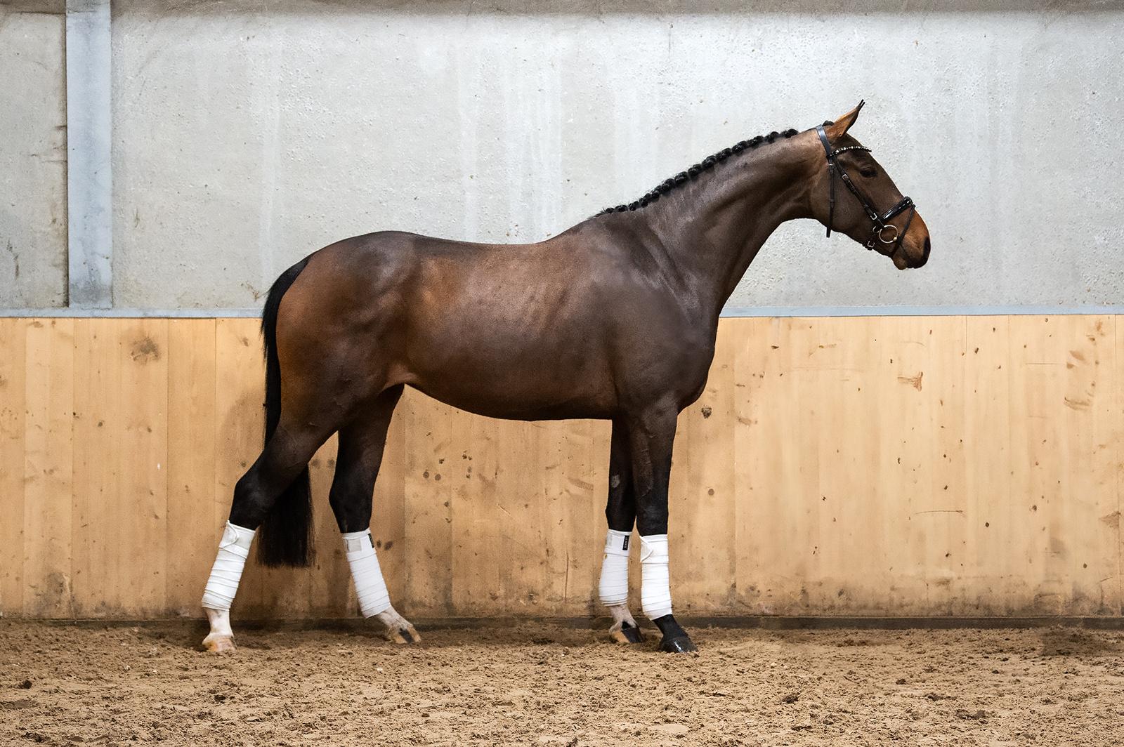 WhatsApp Image 2026-03-04 at 14.34.43