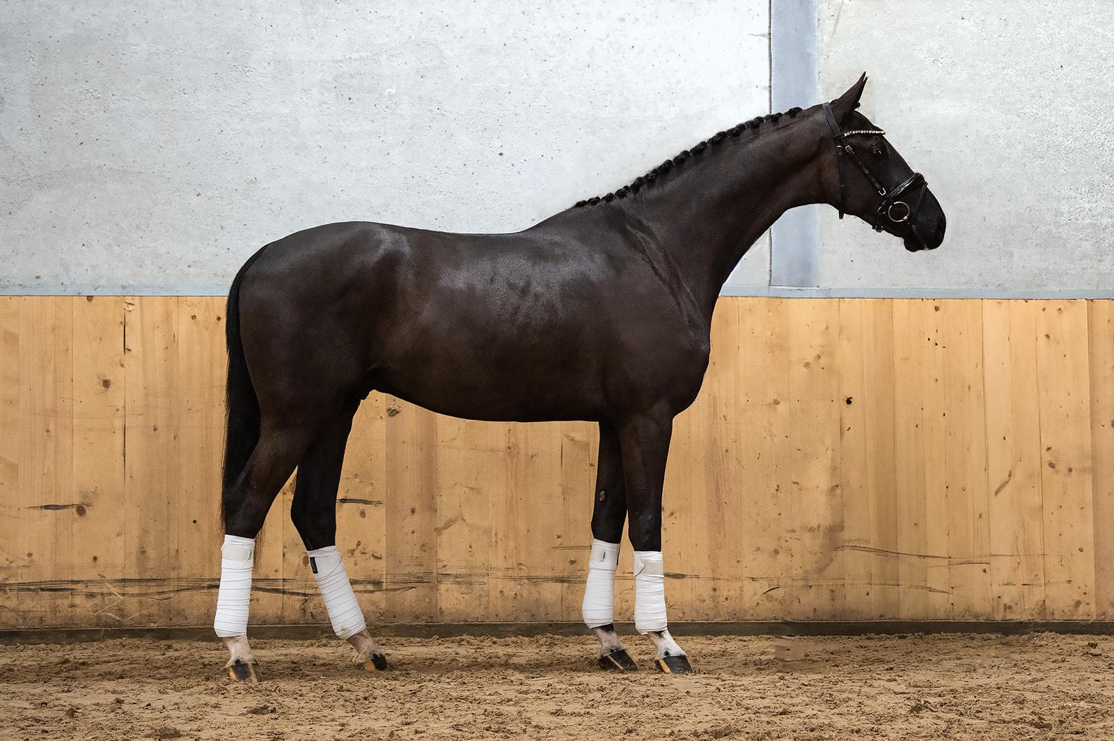 WhatsApp Image 2026-03-06 at 13.36.19