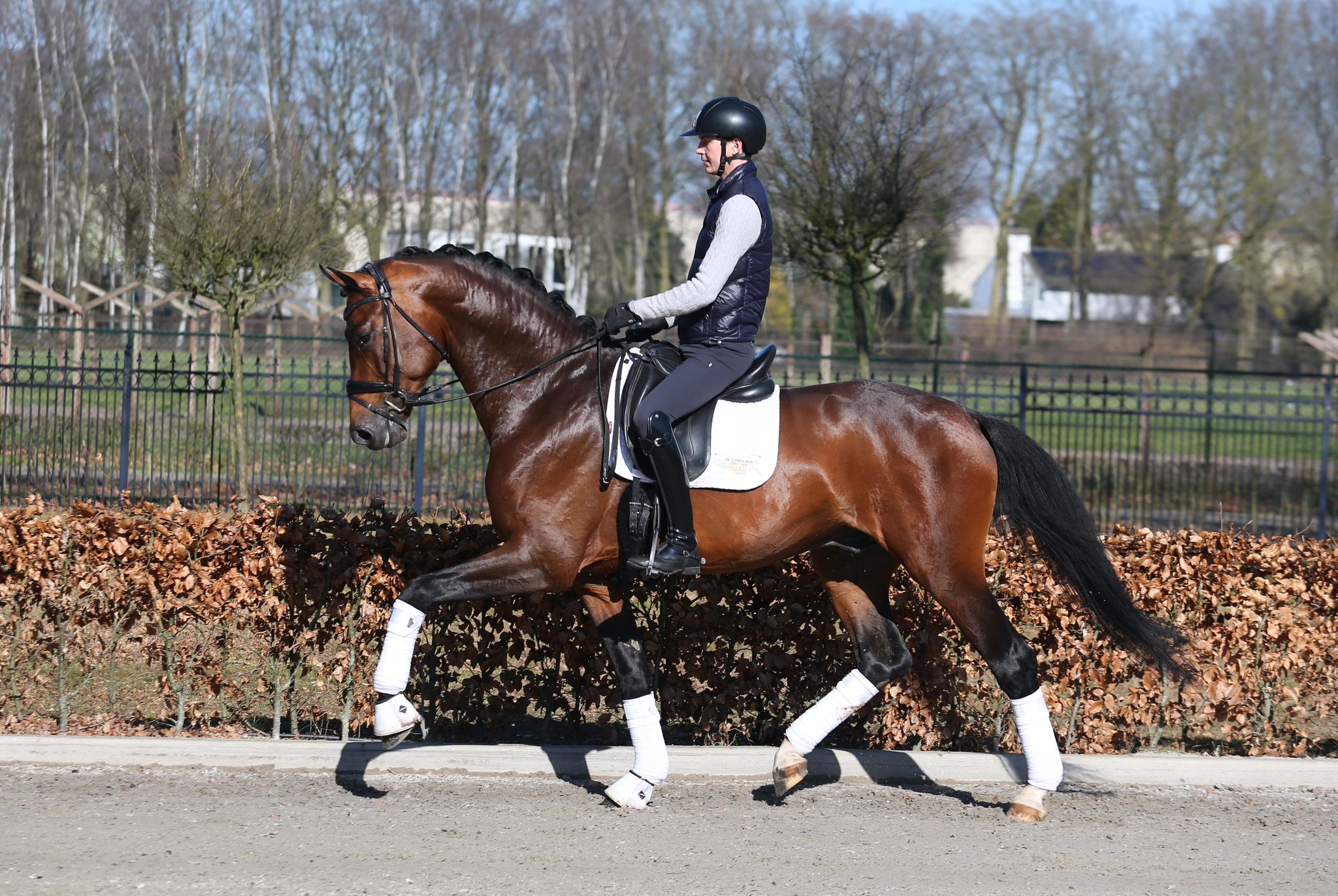 WhatsApp Image 2026-03-13 at 13.36.57