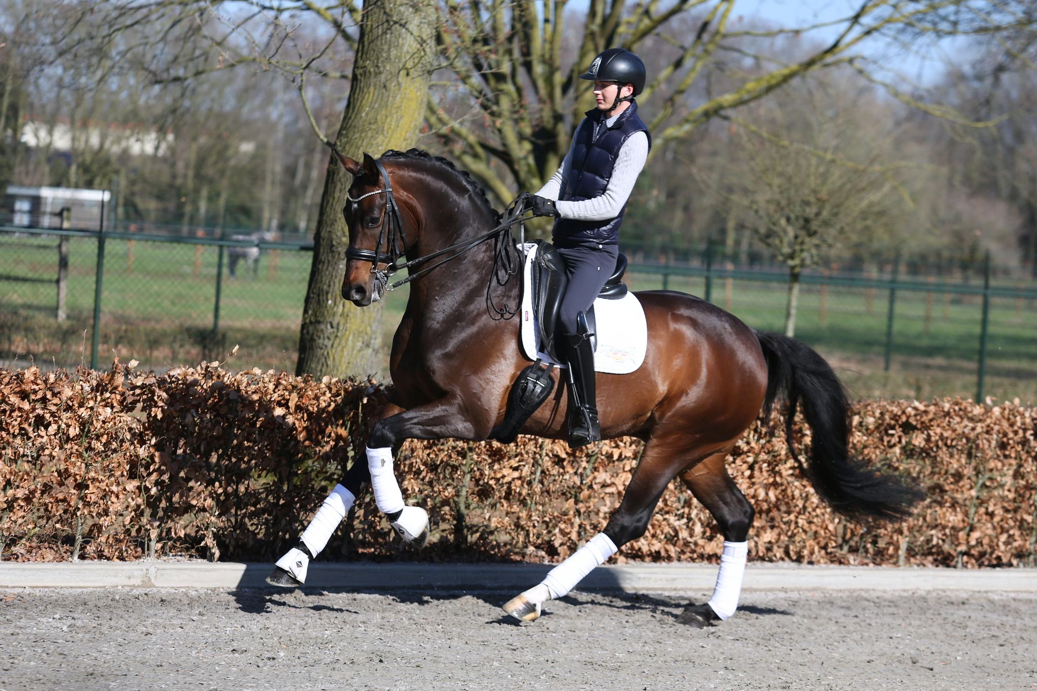 WhatsApp Image 2026-03-13 at 13.37.20