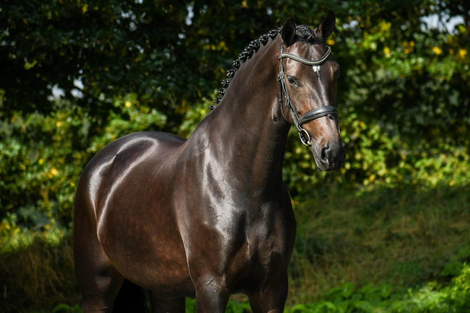 WhatsApp Image 2026-03-30 at 18.19.07