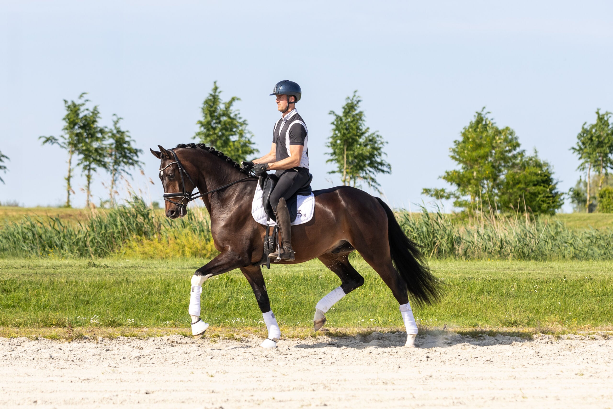 RDHorses-LennartBos-10 2