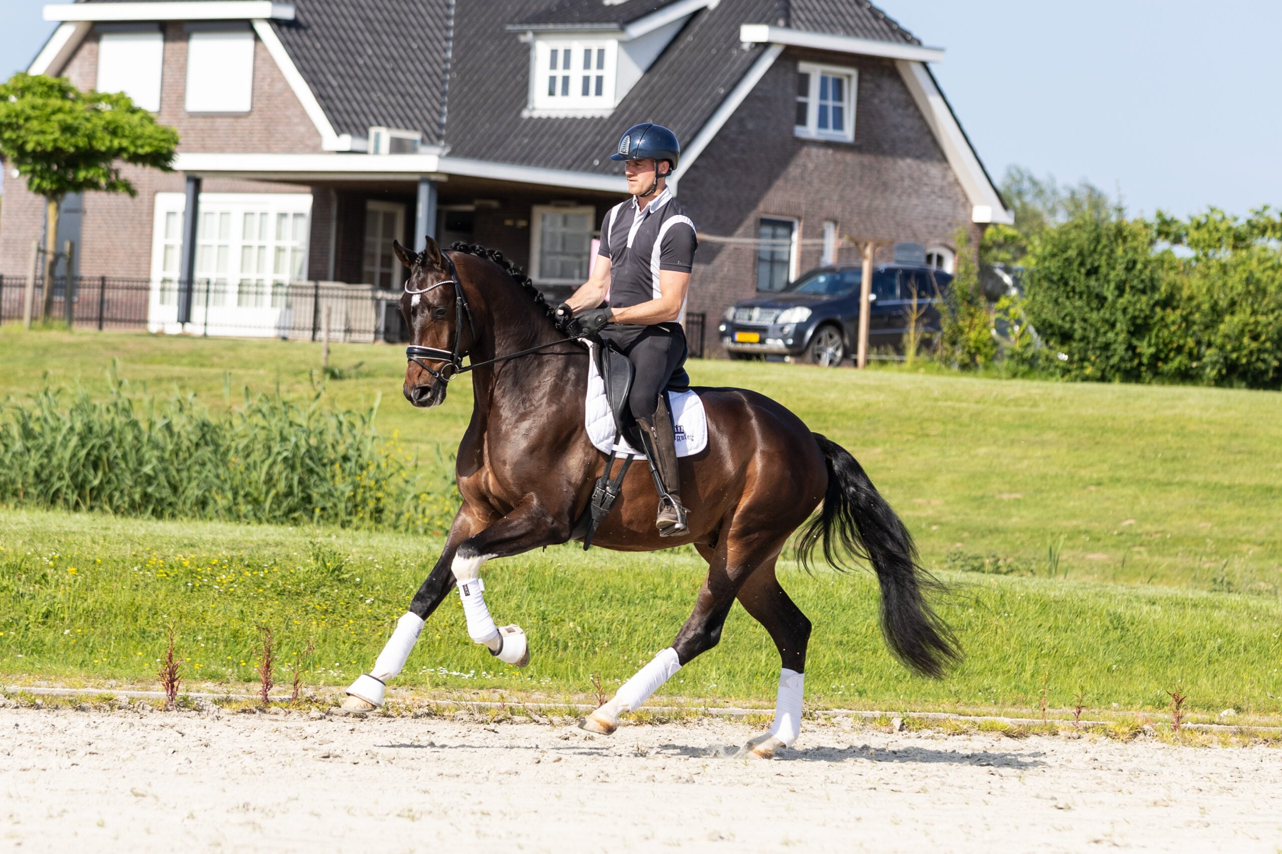 RDHorses-LennartBos-15 2