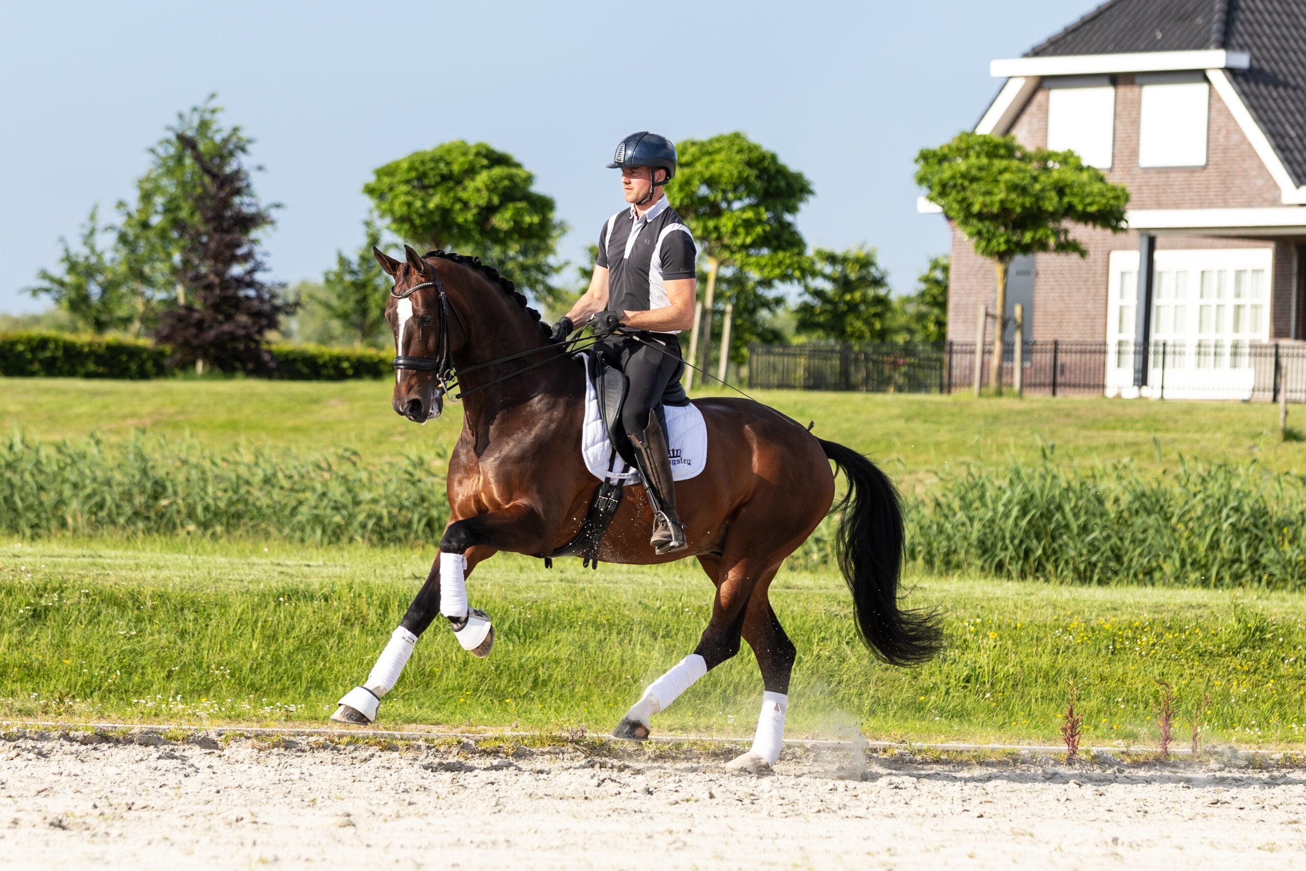 RDHorses-LennartBos-18 2
