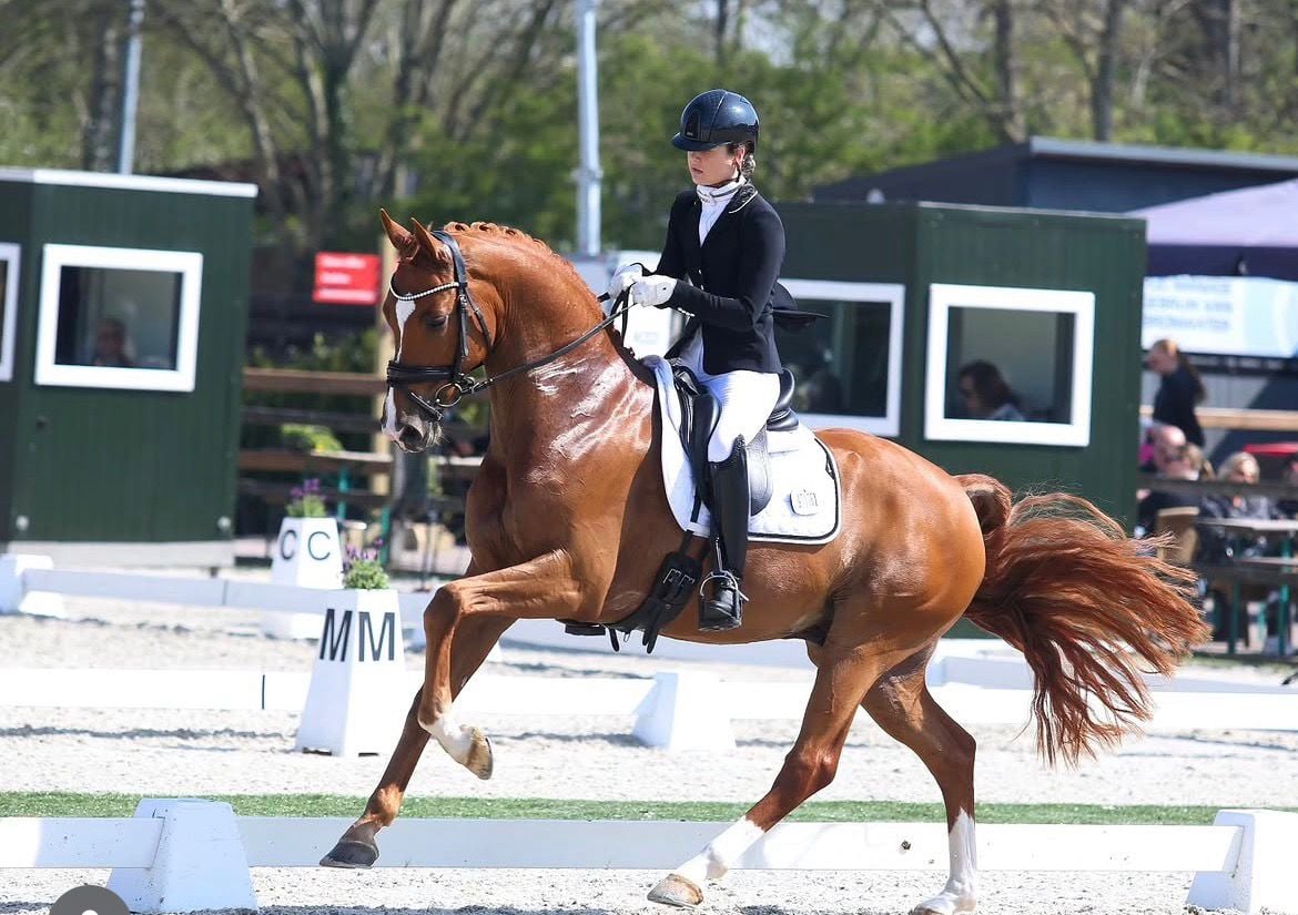 WhatsApp Image 2026-04-15 at 08.04.59