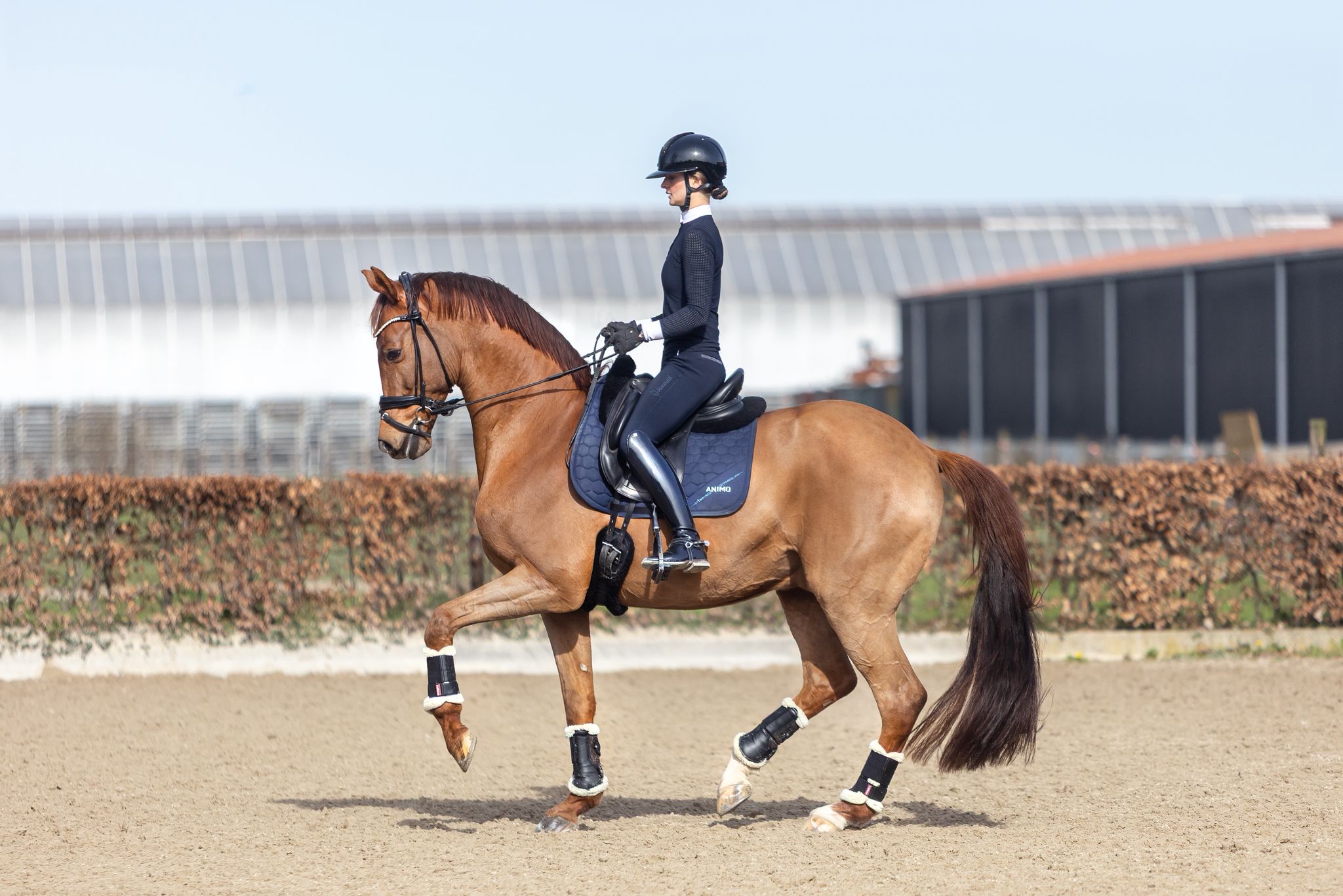 WhatsApp Image 2026-04-15 at 13.10.14-2