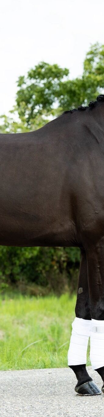 WhatsApp Image 2026-04-18 at 8.23.37 PM-3