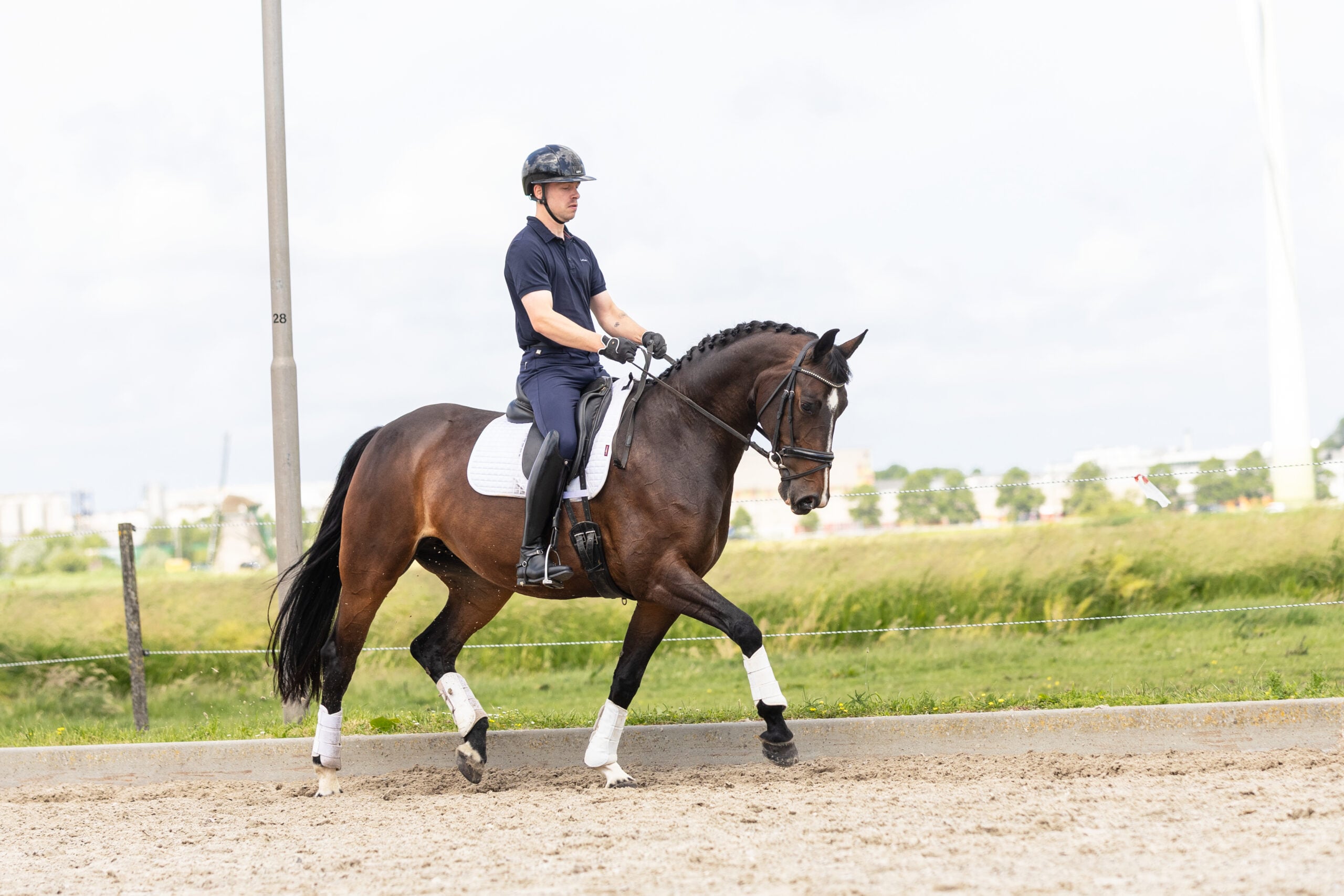 RDHorses-JustWimphof-9 2