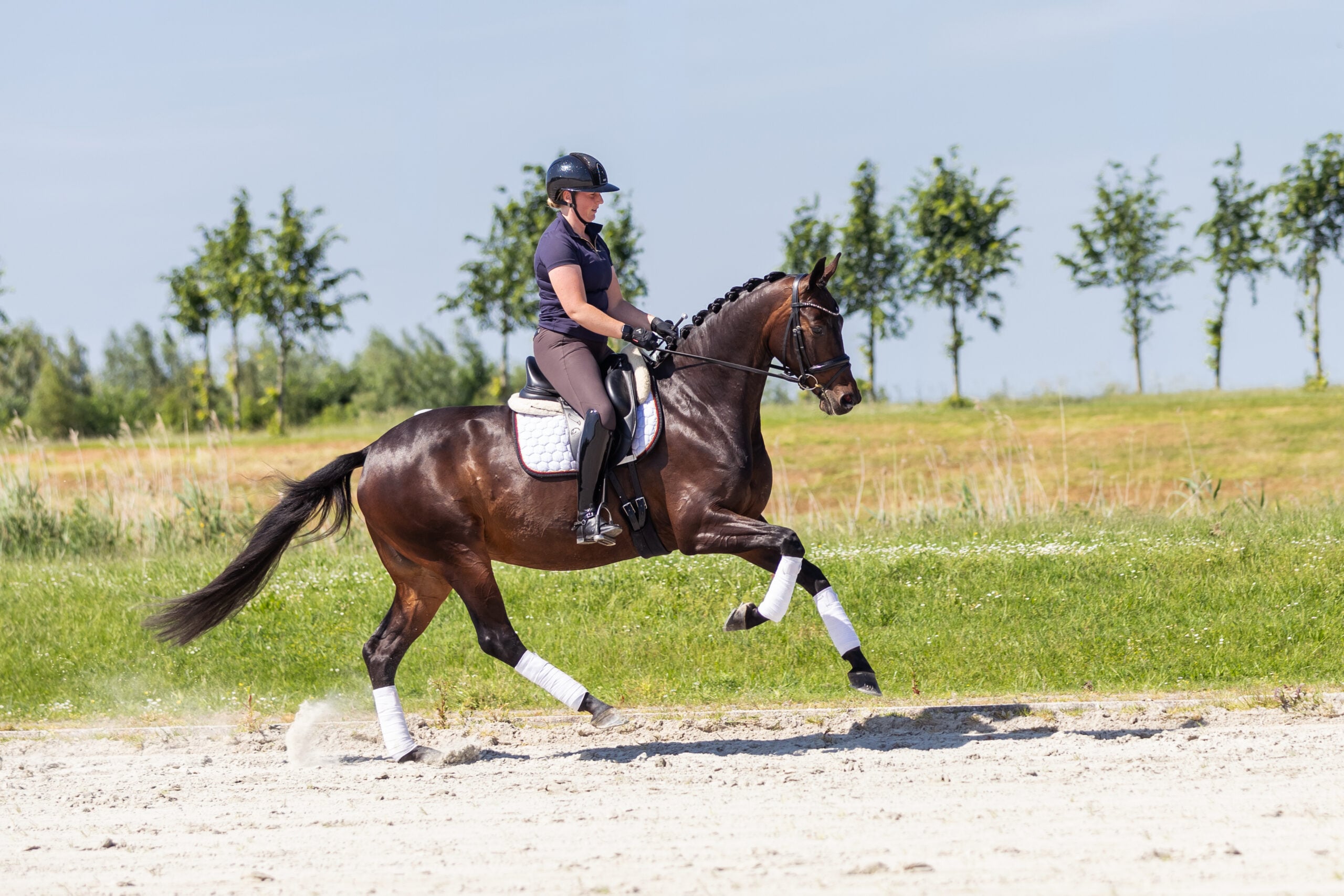 RDHorses-LennartBos-Sensie-10 2