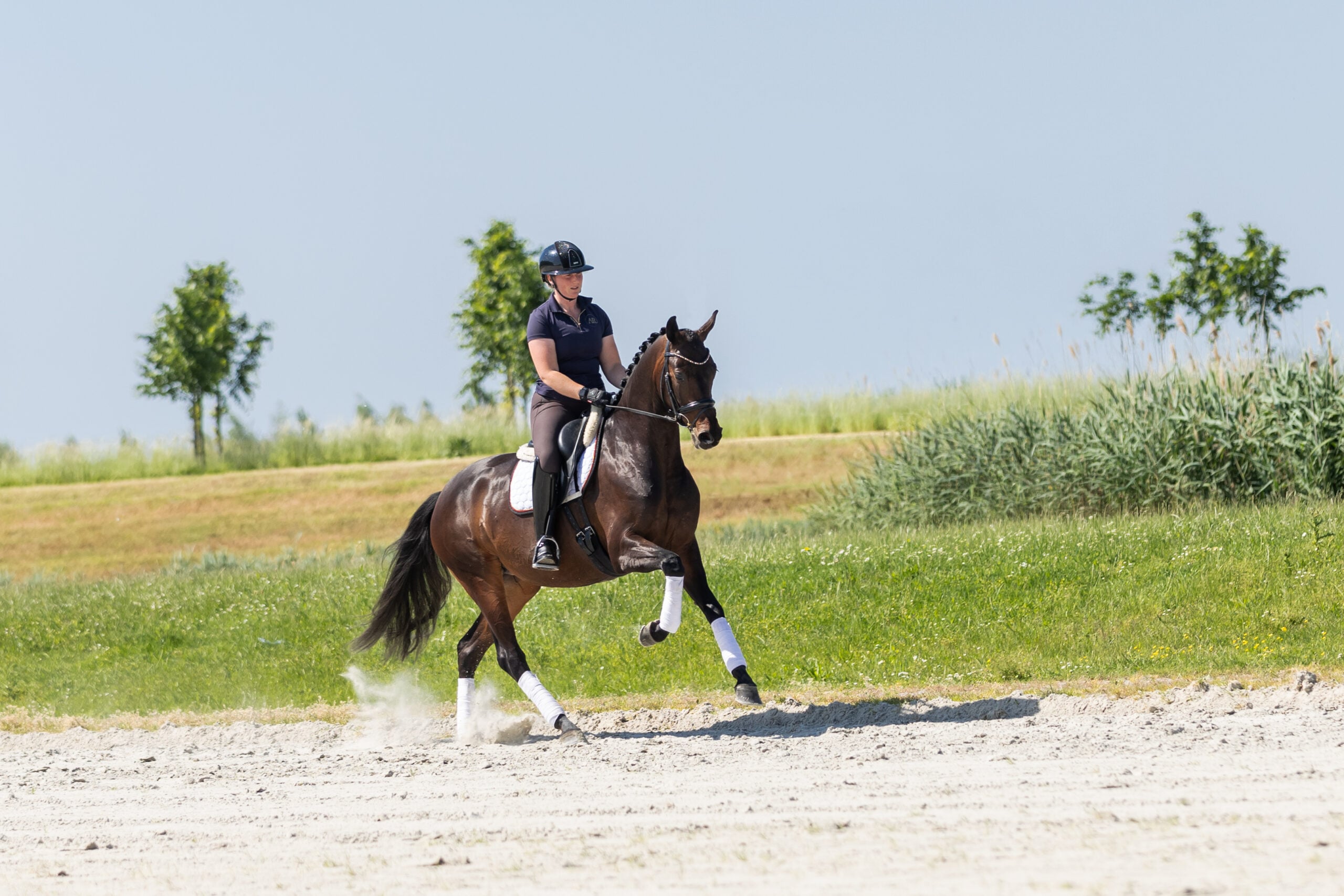 RDHorses-LennartBos-Sensie-14 2