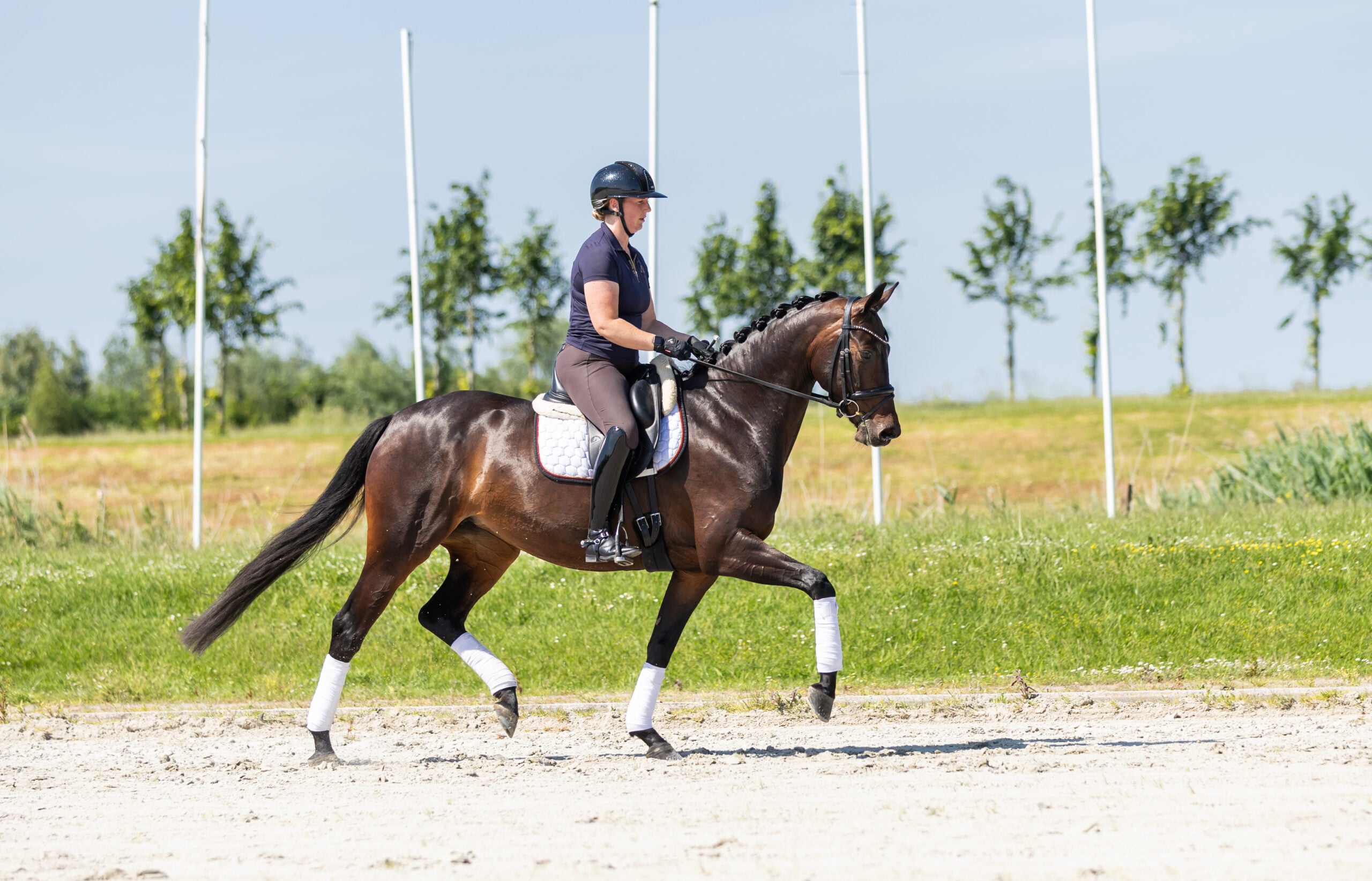 RDHorses-LennartBos-Sensie-15 2