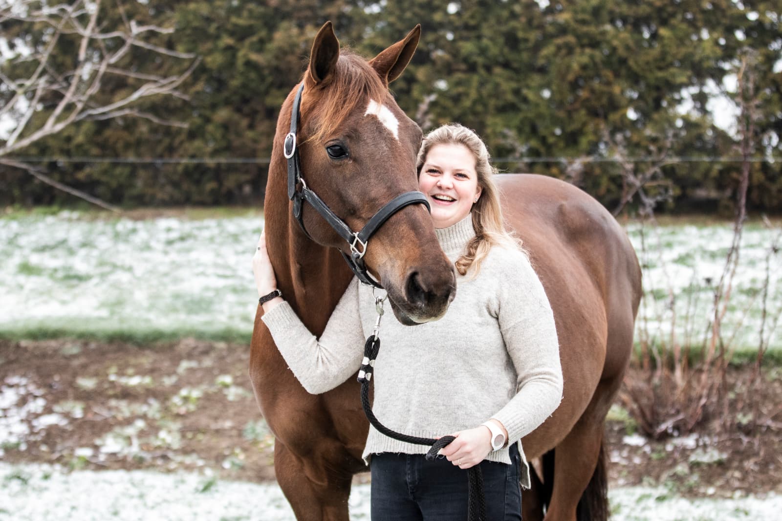 Danique - RD Horses For Sale
