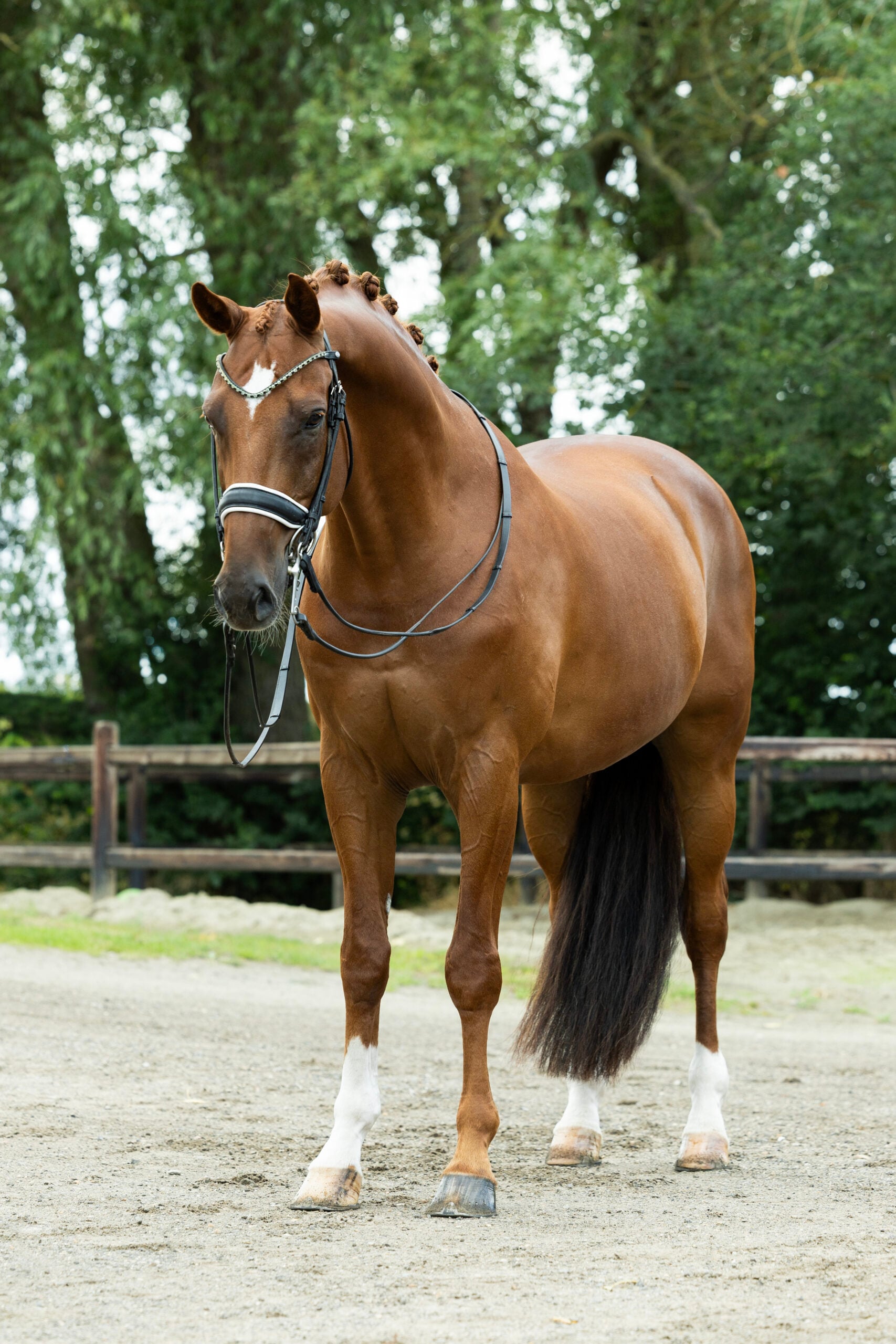 130A7876
